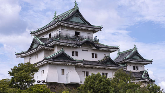 和歌山市日遊