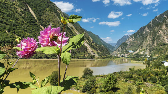 Mao County