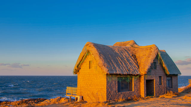 Shell and Seaweed House