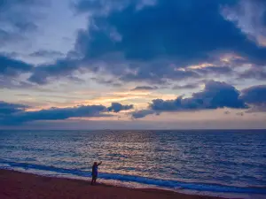 Laizhou Bay