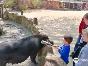 Naturschutz-Tierpark Görlitz