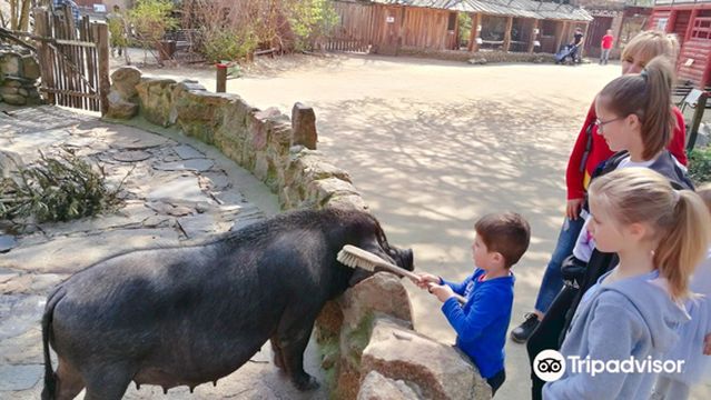 Naturschutz-Tierpark Görlitz
