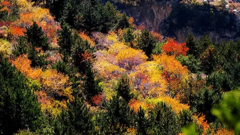 항산 attraction in 다퉁