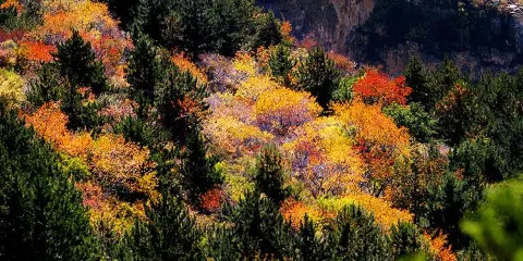 恆山