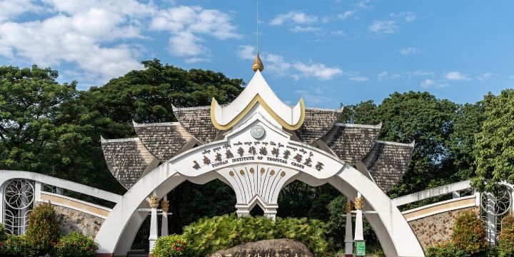 Tropical Flower Garden