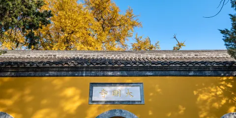 大明寺門票成人