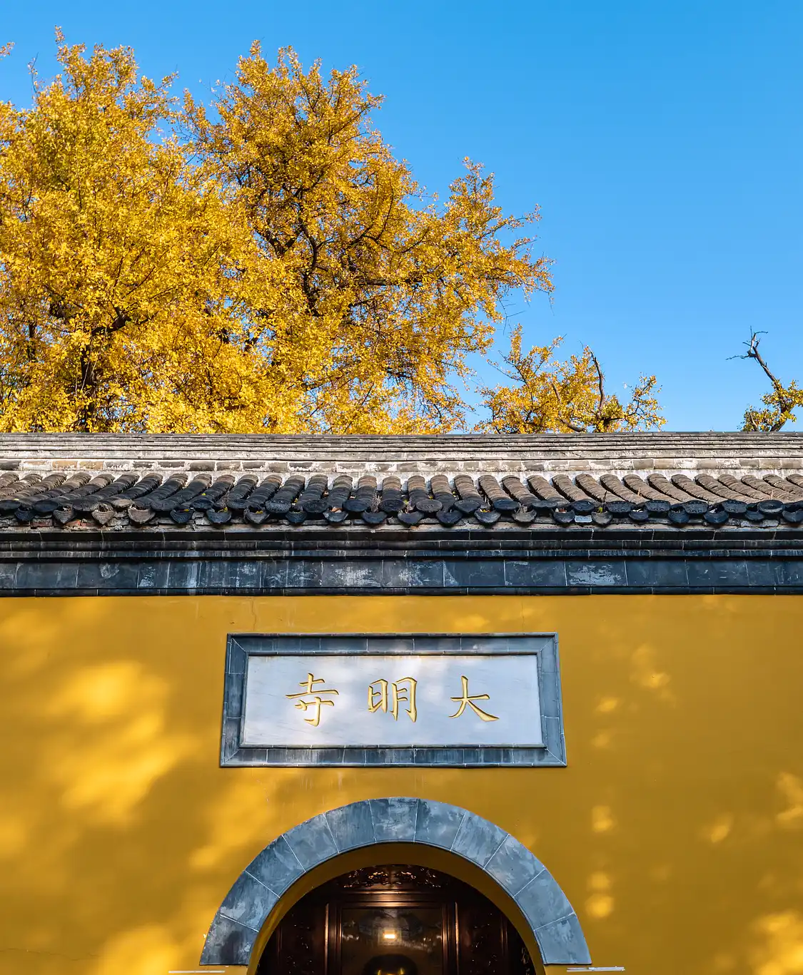 Hotels near Daming Temple