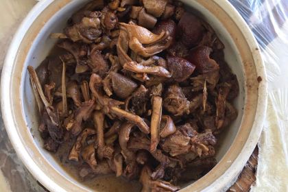 博鳌海鸭湖果园饭店