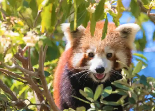 西姆比歐野生動物園