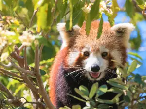 Symbio Wildlife Park