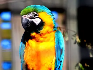 柳岸野生動物保護區