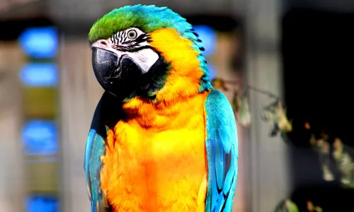 윌로뱅크 야생동물보호지역