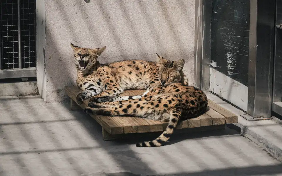 2_Qingdao Zoo