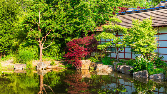 Jardin Ile de Versailles