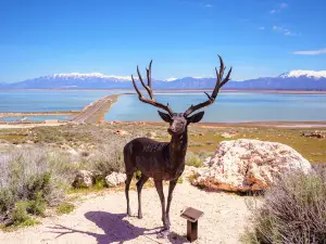 Antelope Island State Park