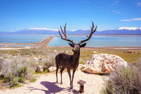 Antelope Island State Park