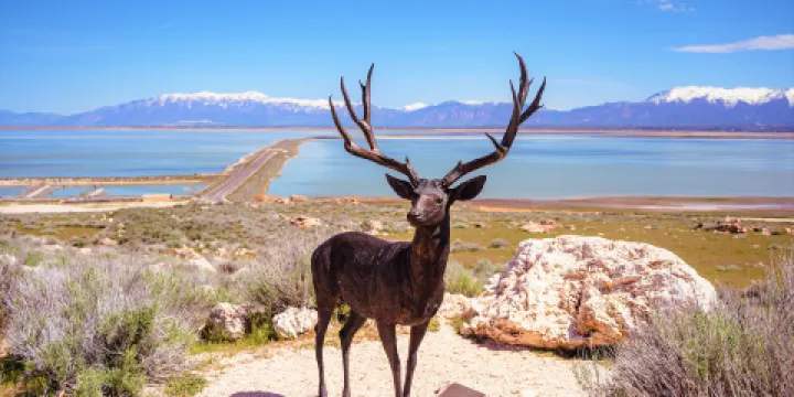 羚羊島州立公園