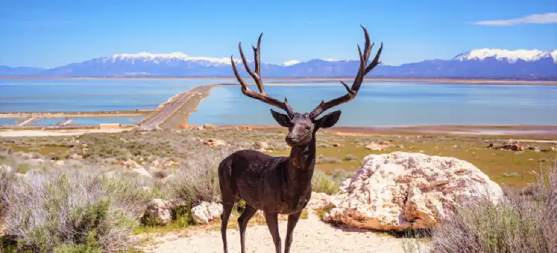 Hotels in Davis County