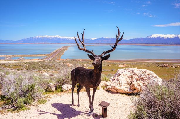 Davis County