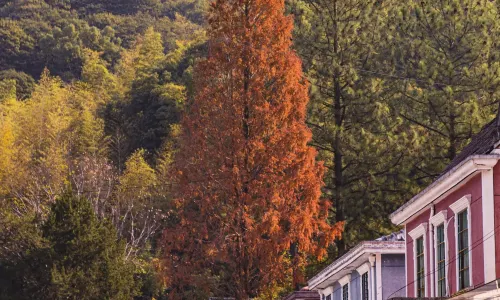 Huangxian National Forest Park