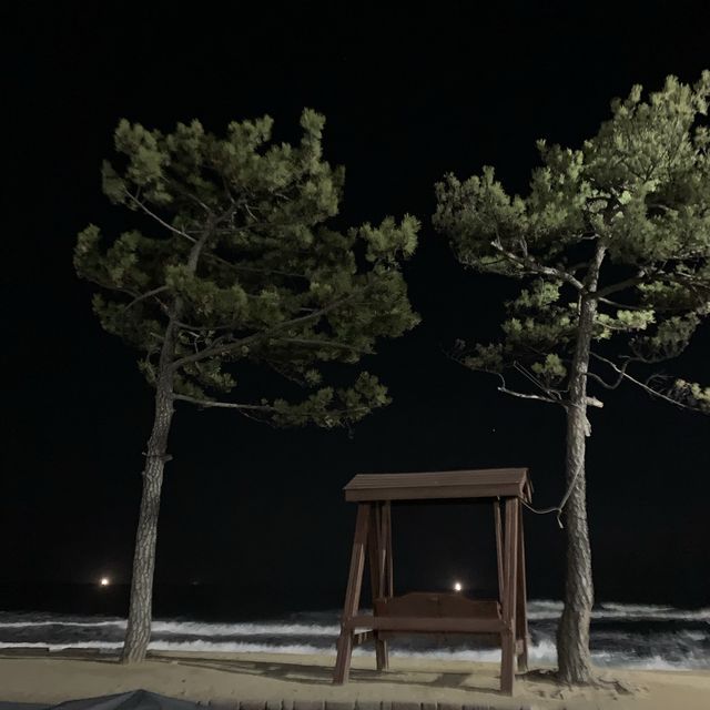 강릉 [정동진역]