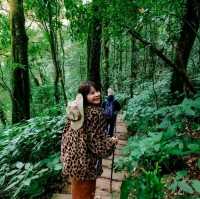 สัมผัสลมหนาว “กิ่วแม่ปาน”