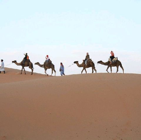 A Taste Of Moroccan Way Of Life Inside T