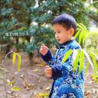 荔枝角公園入面的「嶺南之風」 ，回到古代的感覺，影相位超正！