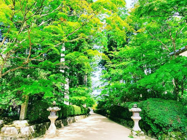 高野山はけっこう涼しい