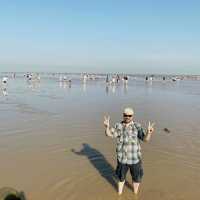 Outer Shanghai: There’s Plenty to See