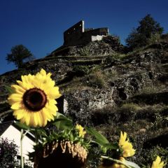 Alte Muehle Thomas Hoereth User Photo