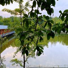 新三合院 User Photo