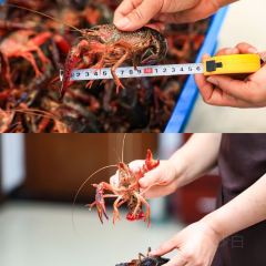 华夏大酒店(园林路店) User Photo