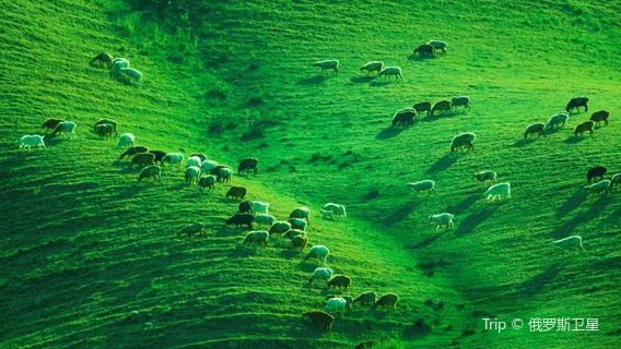 Fushan Park Daifuseng Area