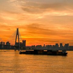 秘客MIKO·意境菜·预定制餐厅(江滩店) User Photo