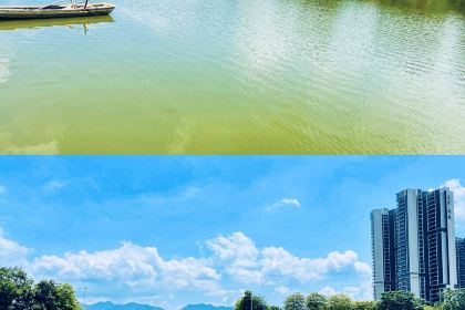 真鹅味食神农庄