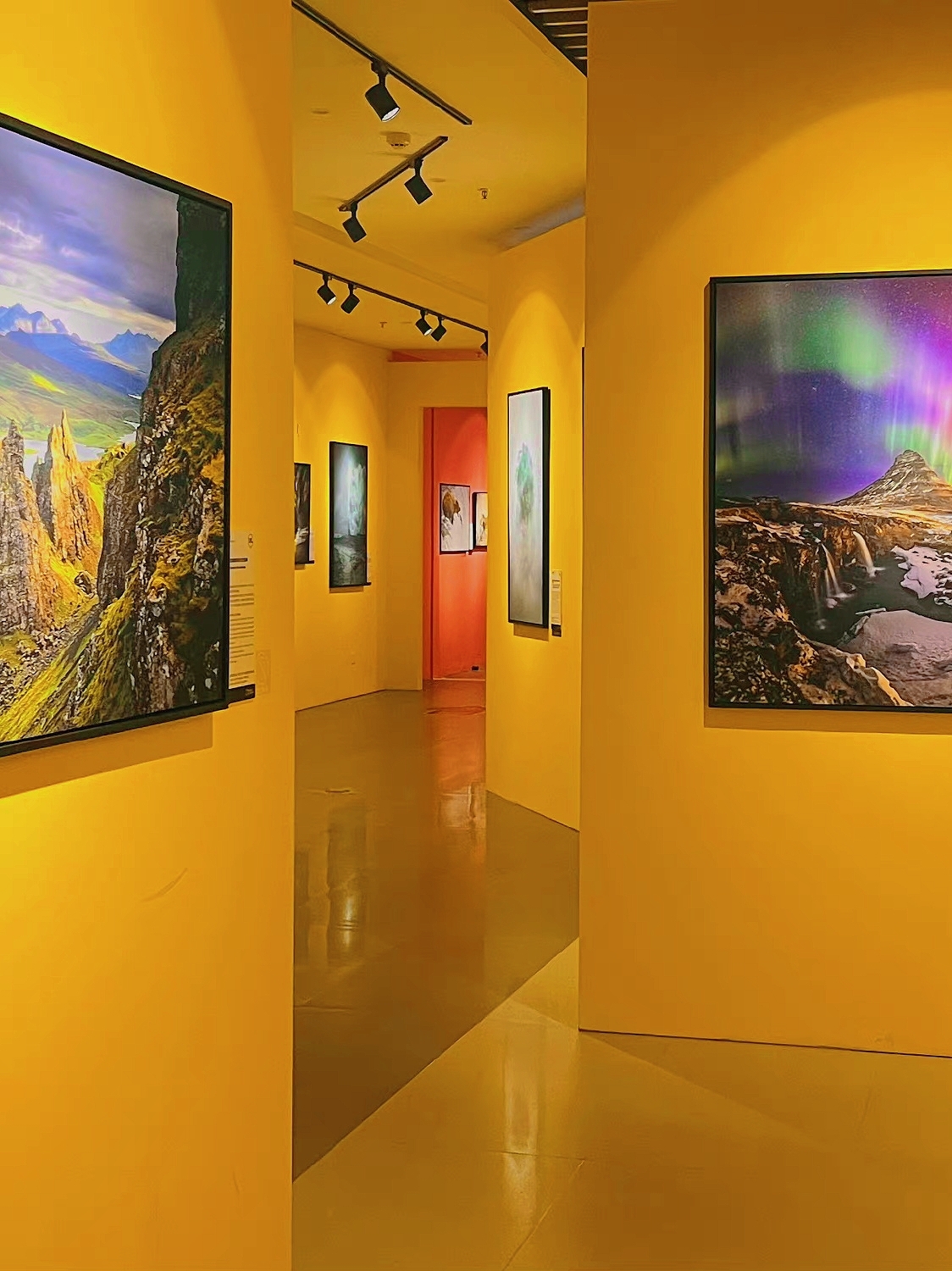 「華南首展」國家地理經典影像大展 | 深圳