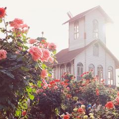 Wanhuagu Rose Manor User Photo