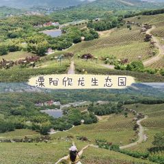 Xinlongshengtaiyuan User Photo