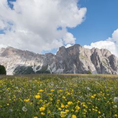 Seceda Ristorante a Monte Funivia User Photo