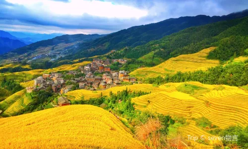 Jiulong Five-Tiger Scenic Spot