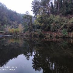 姚婆婆手工粉 User Photo