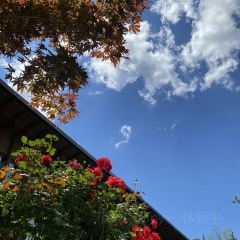 咸鱼咖啡馆 User Photo