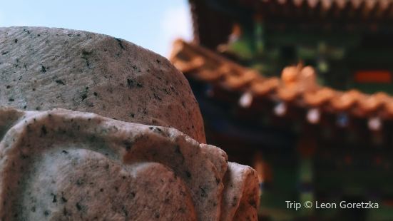 #寺庙 龙兴寺 作为一处寂静的不被打扰的世外匿地，青州龙兴寺