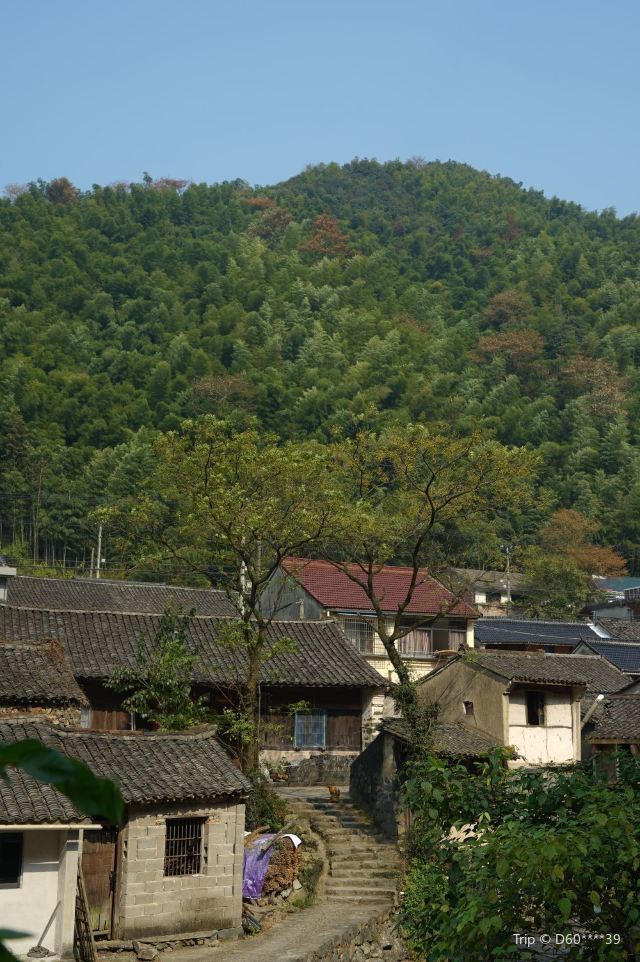冠佩村