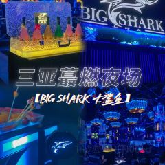 大鯊魚酒吧張用戶圖片