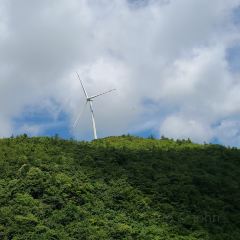 土王府 User Photo