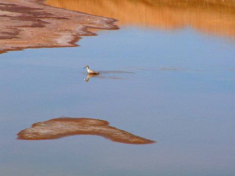 ソルトン湖 リバーサイド の旅行レビュー Trip Comトラベルガイド