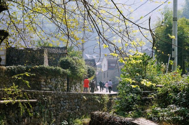 冠佩村