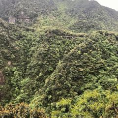 莽山天台山美食 User Photo